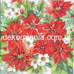 Serwetka -3146- MINI 25x25 cm , wzór 4 krotny , gwiazda Betlejemska ,